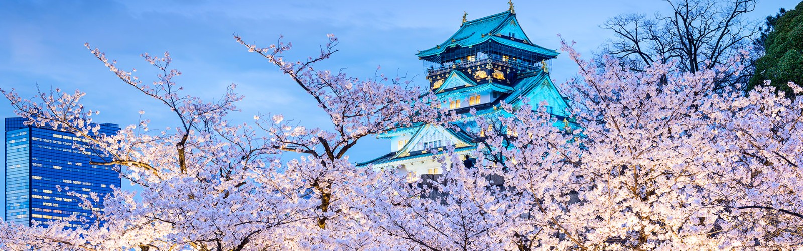 Osaka Castle